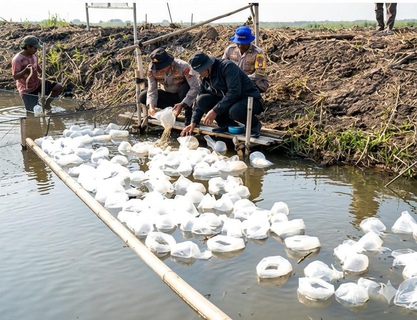 Dukung Ketahanan Pangan, Polda Metro Jaya Tebar 15 Ribu Benih Bandeng dan 150 Ribu Udang Vaname di Muaragembong, Perkuat Ketahanan Pangan